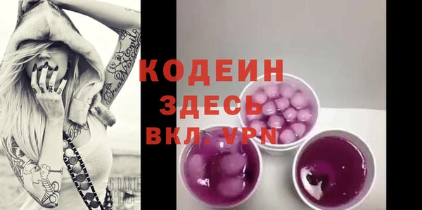 соль ск Ельня