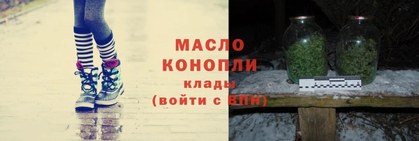 соль ск Ельня