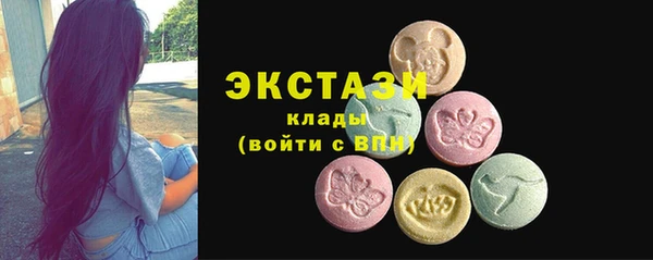 соль ск Ельня