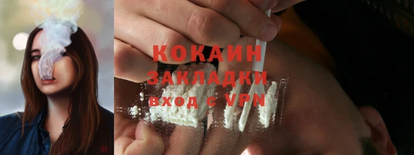 соль ск Ельня