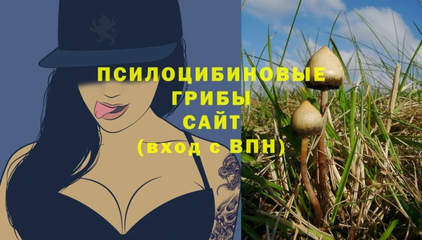 эйфоретик Елабуга