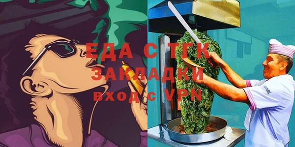 соль ск Ельня