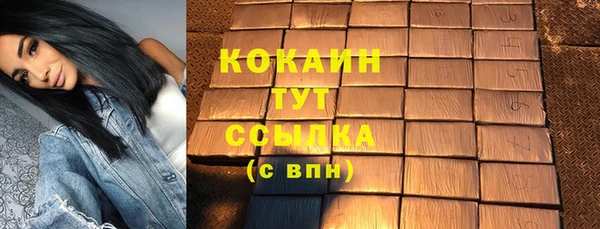 соль ск Ельня