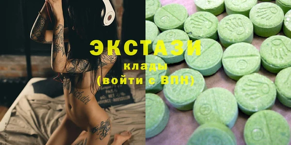 соль ск Ельня