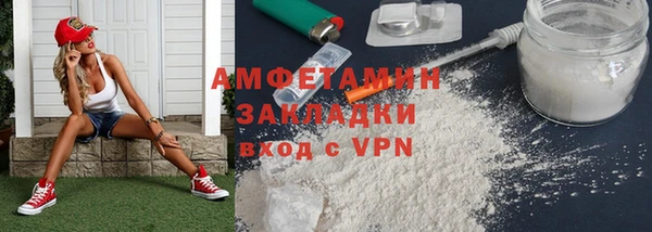 соль ск Ельня