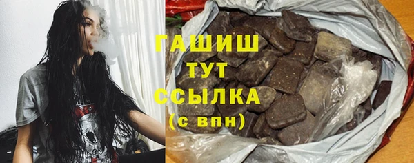 соль ск Ельня
