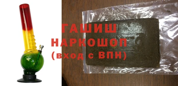 соль ск Ельня