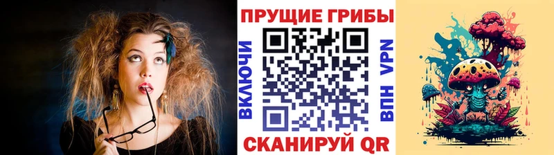 Купить  Чапаевск  Псилоцибиновые грибы Psilocybe 